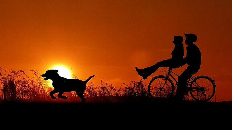 Vor dem rot-orangen Sonnenuntergang. Man sieht drei Figuren in schwarz: einen jungen Hund, ein Pärchen, das mit dem Rad fährt. Er sitzt am Sattel, sie auf der Lenkstange. 