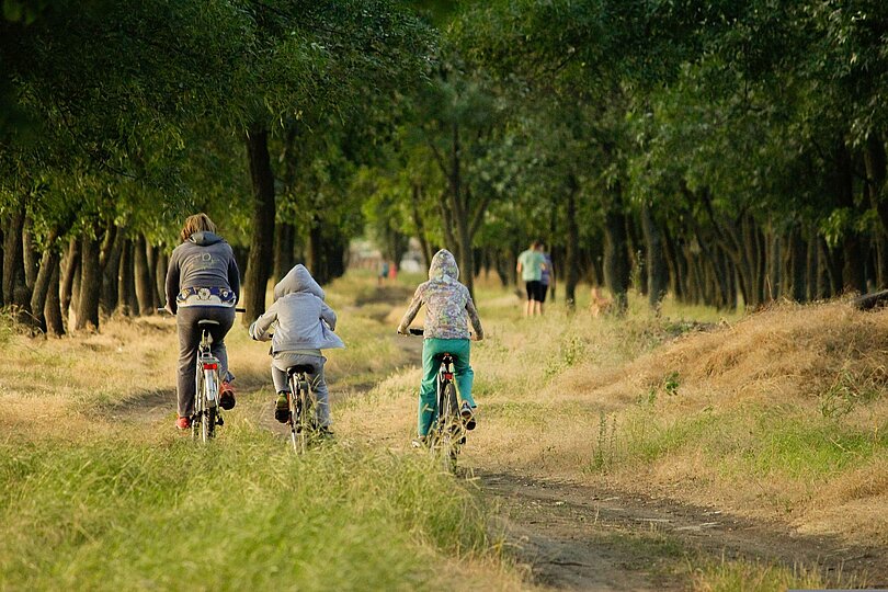 Kinder fahren mit dem Fahrrad durch den Wald