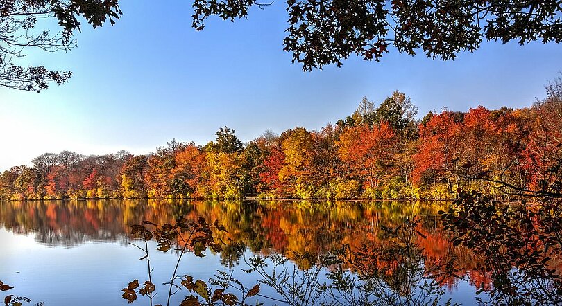 Herbstliche Laubbäume mit roten, gelben und grünen Blättern stehen am Ufer eines Sees oder eines Flusses und spiegeln sich auf der glatten Wasseroberfläche. 