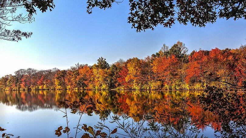 Herbstliche Laubbäume mit roten, gelben und grünen Blättern stehen am Ufer eines Sees oder eines Flusses und spiegeln sich auf der glatten Wasseroberfläche.