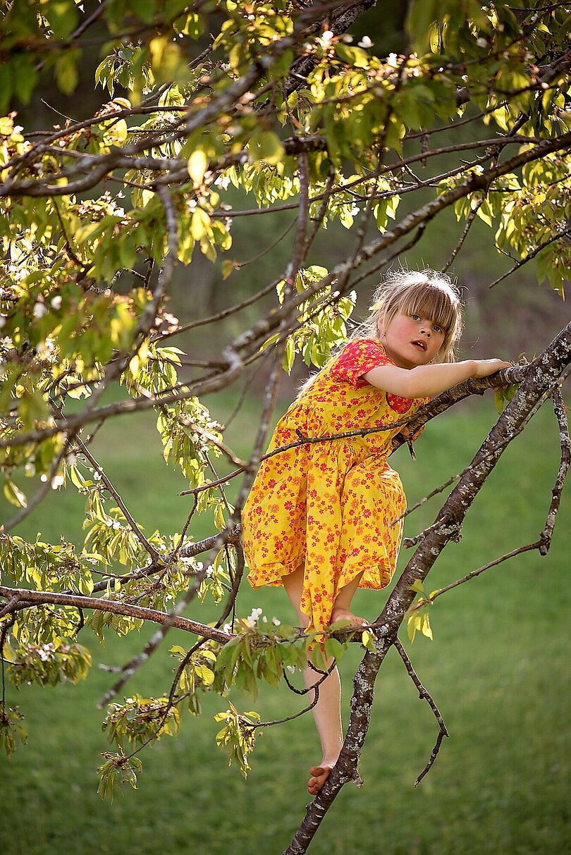 Mädchen klettert auf einem Baum 