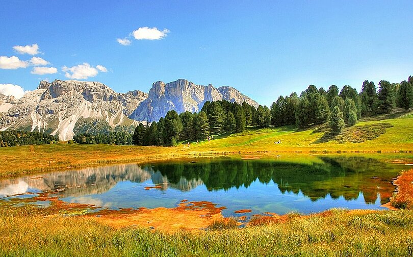Ein kleiner Bergsee in Südtirol mit gelb-orangen Gräsern rundherum, hellgrünen Wiesen und dunkelgrünen Bäumen. Im Hintergrund sieht man ein Bergmassiv vor blauem Himmel