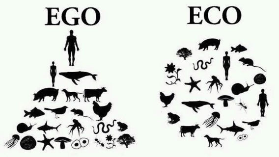 Bei der EGO-Pyramide steht der Mensch an der Spitze und die die anderen Lebewesen sind untergeordnet. Im ECO-Kreis ist der Mensch ein Teil des Ganzen.